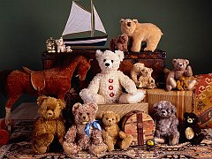 Vacation Bears